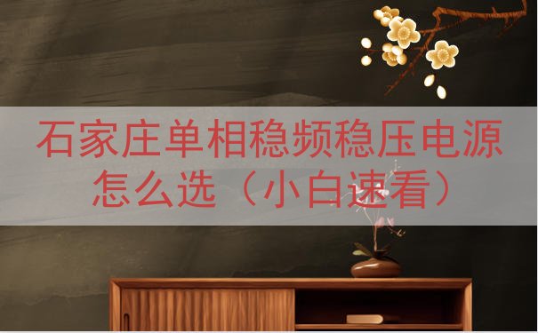 石家庄单相稳频稳压电源怎么选（小白速看）